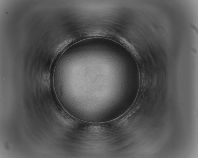 X0000092050298200709121218