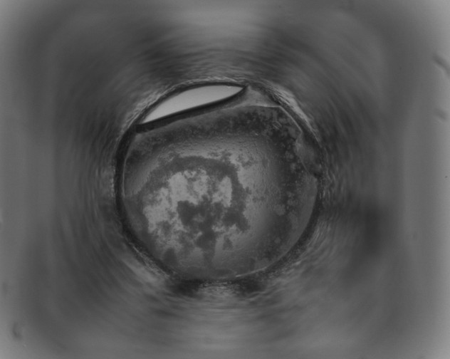 X0000092050299200709121218