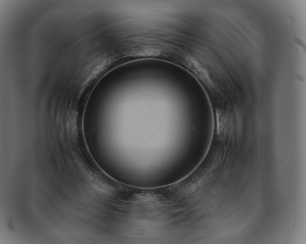 X0000092050300200709121218