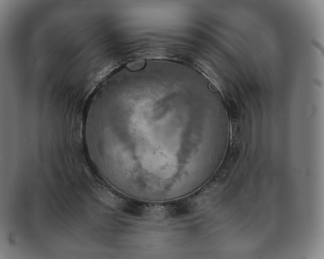 X0000092050301200709121218