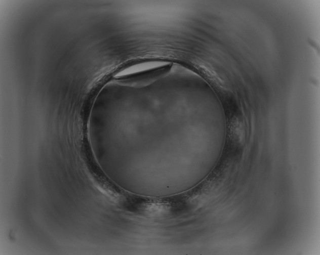 X0000092050303200709121218