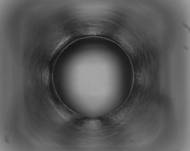 X0000092050304200709121218