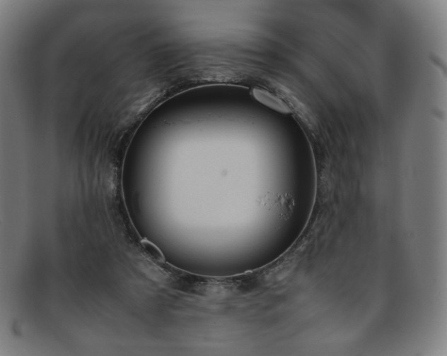 X0000092050305200709121218