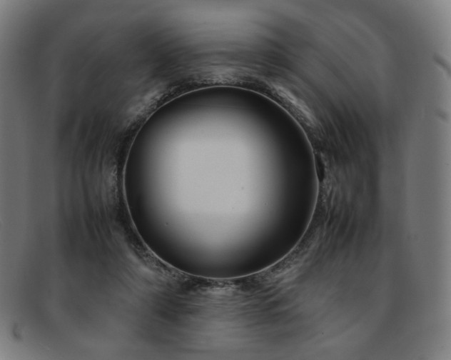 X0000092050306200709121217