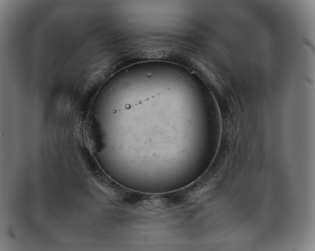 X0000092050307200709121217