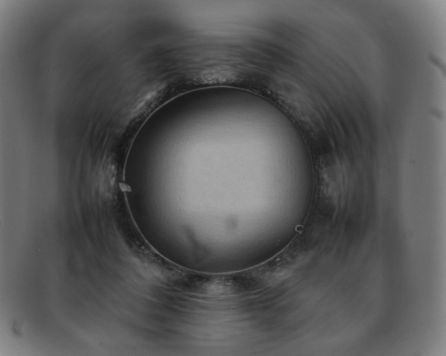 X0000092050308200709121217