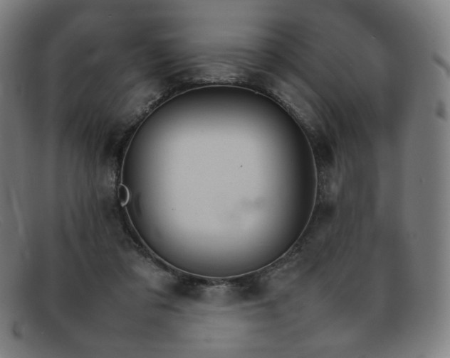 X0000092050309200709121217