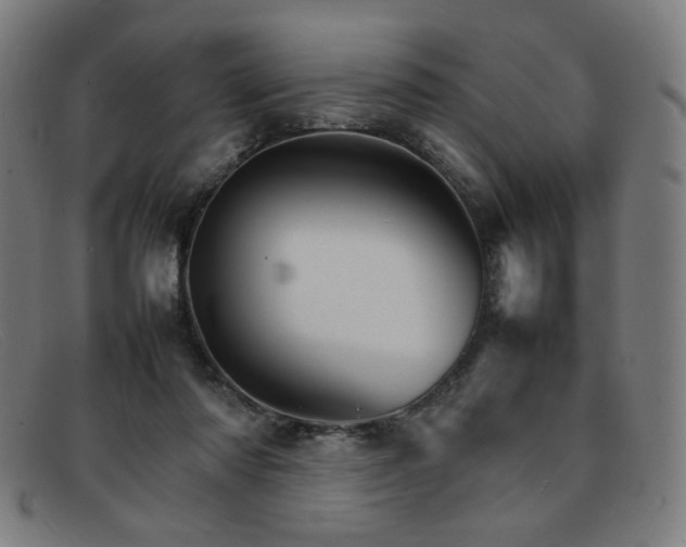 X0000092050310200709121217