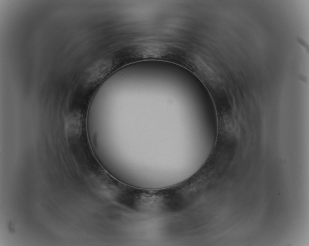 X0000092050311200709121217