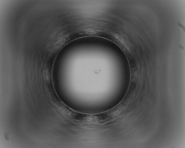 X0000092050317200709121217