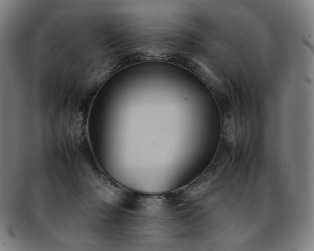 X0000092050318200709121217