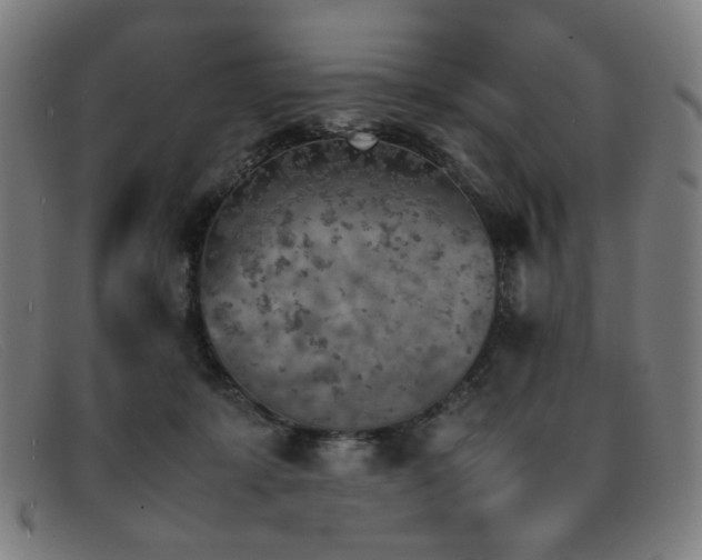 X0000092050319200709121217