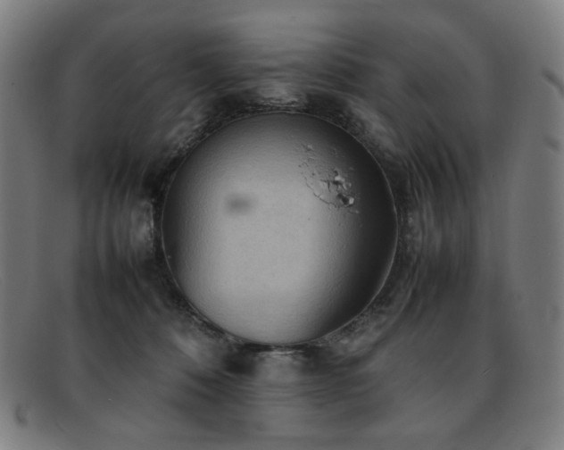 X0000092050320200709121217