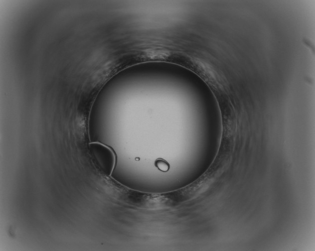 X0000092050321200709121217