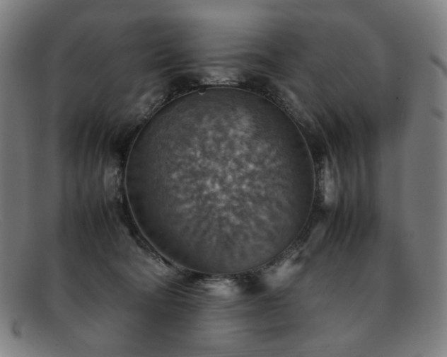 X0000092050322200709121217