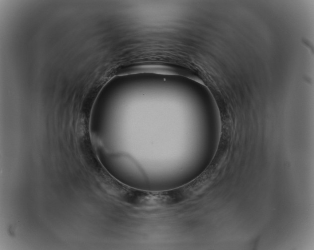 X0000092050323200709121217