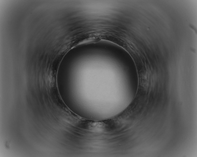 X0000092050324200709121217