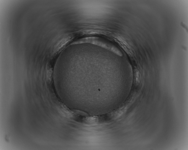 X0000092050325200709121217