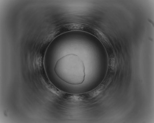 X0000092050326200709121217