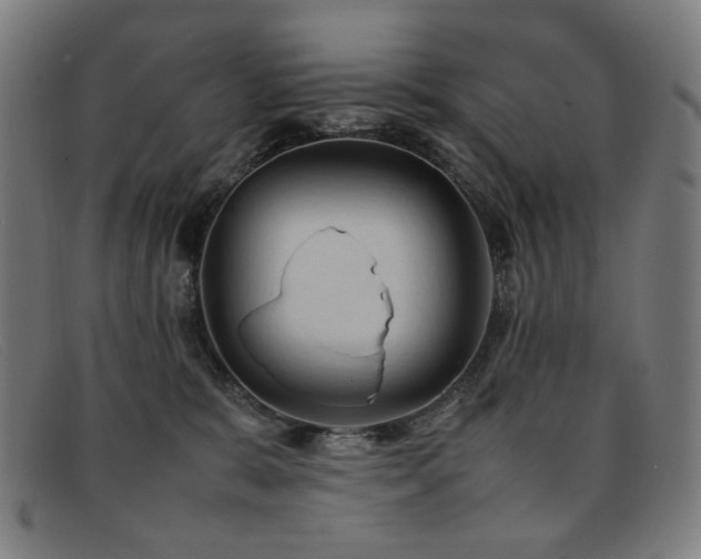 X0000092050327200709121217