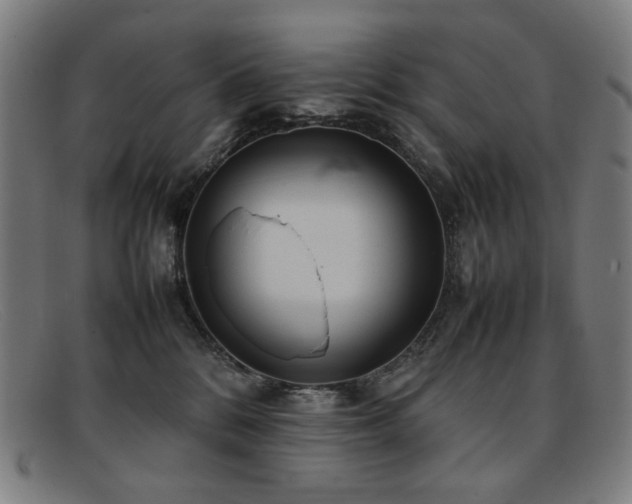 X0000092050328200709121217