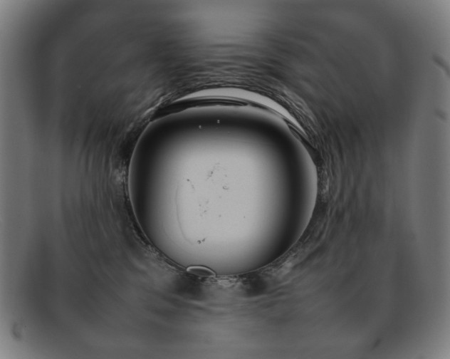 X0000092050329200709121217