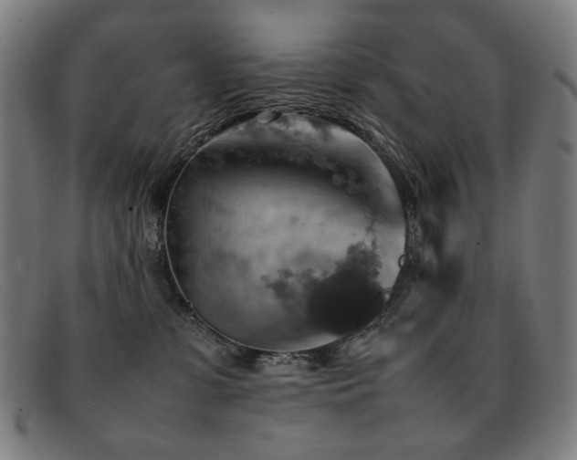 X0000092050331200709121217