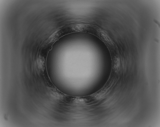 X0000092050332200709121217