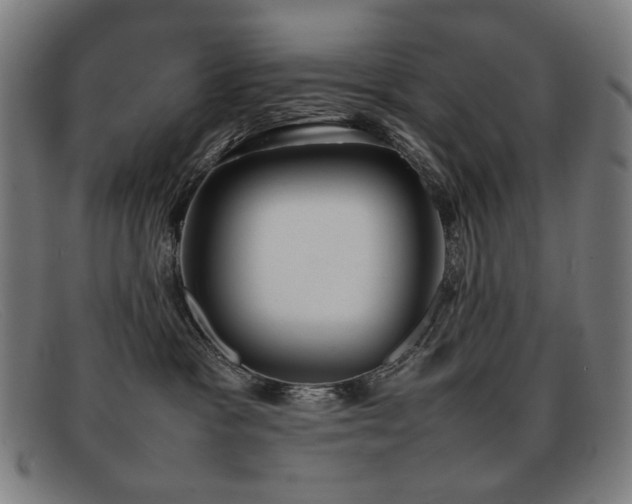 X0000092050333200709121217