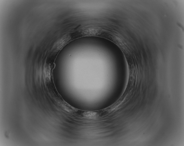 X0000092050334200709121217