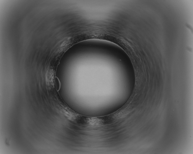 X0000092050336200709121217