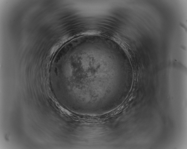 X0000092050337200709121217