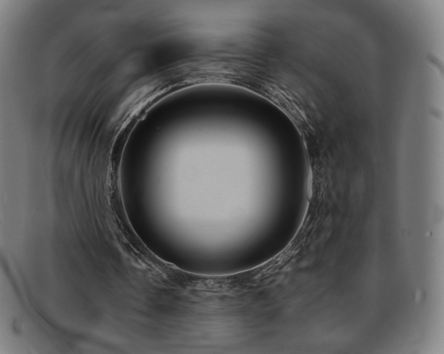 X0000092050338200709121217