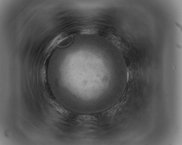 X0000092050339200709121217