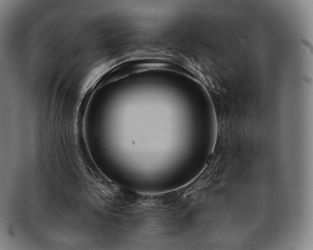 X0000092050340200709121217