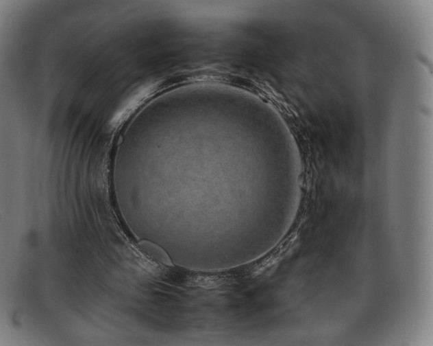 X0000092050341200709121217