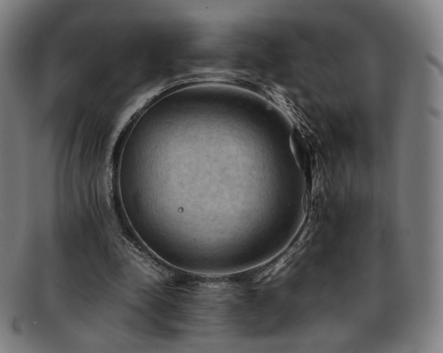 X0000092050342200709121217