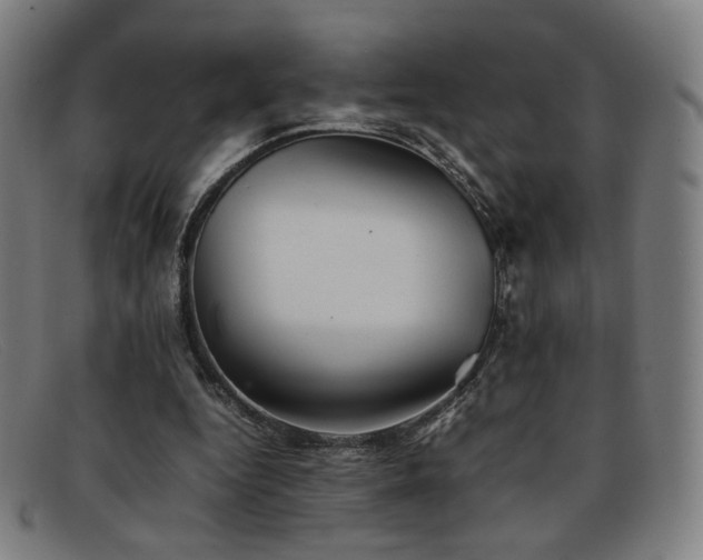 X0000092050344200709121217