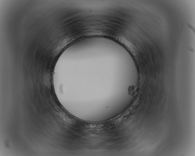 X0000092050345200709121217