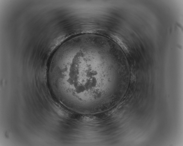 X0000092050346200709121217