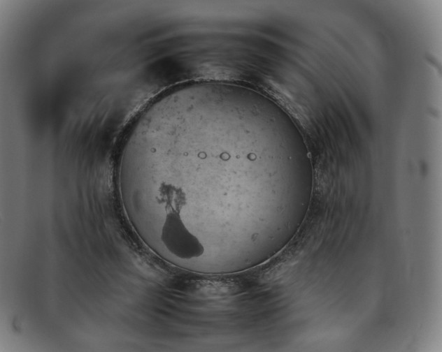 X0000092050347200709121217