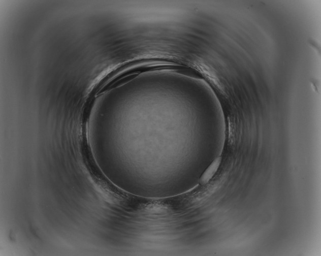 X0000092050348200709121217