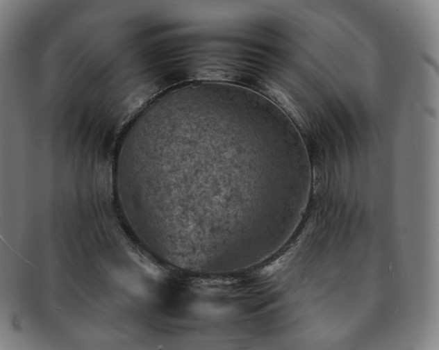 X0000092050349200709121217