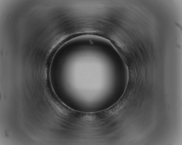 X0000092050350200709121217