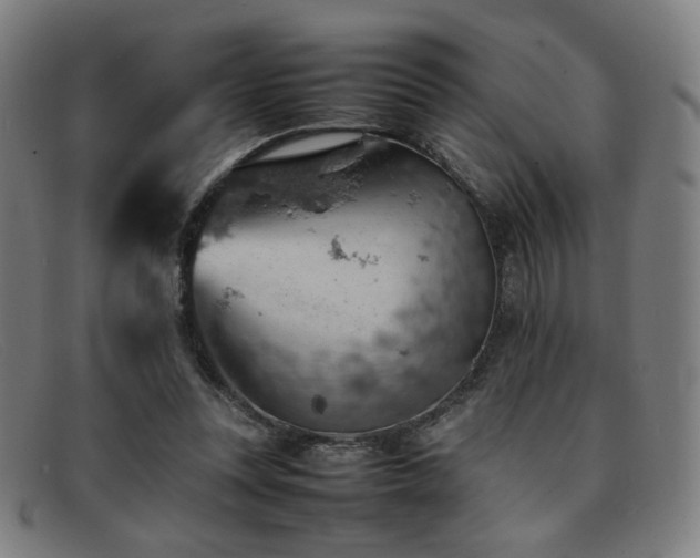 X0000092050351200709121217