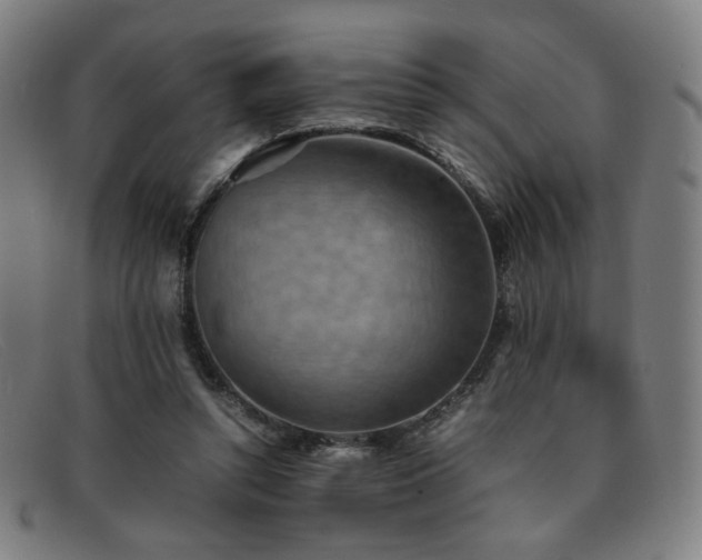 X0000092050352200709121217