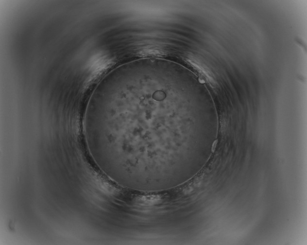 X0000092050353200709121217