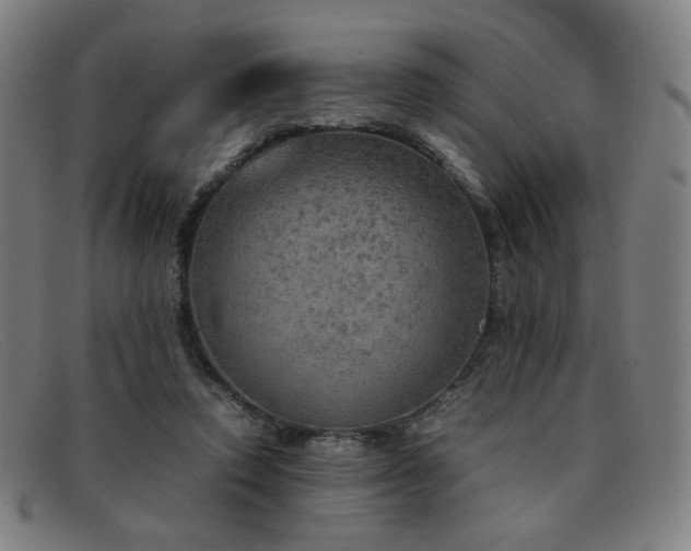 X0000092050354200709121217