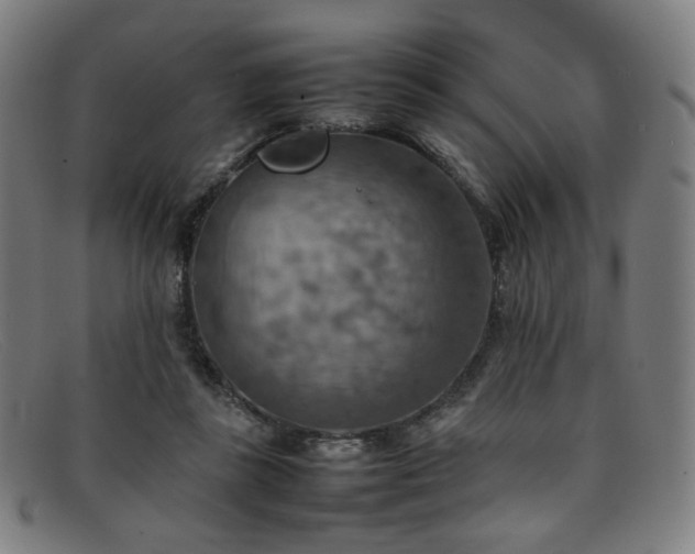 X0000092050355200709121217