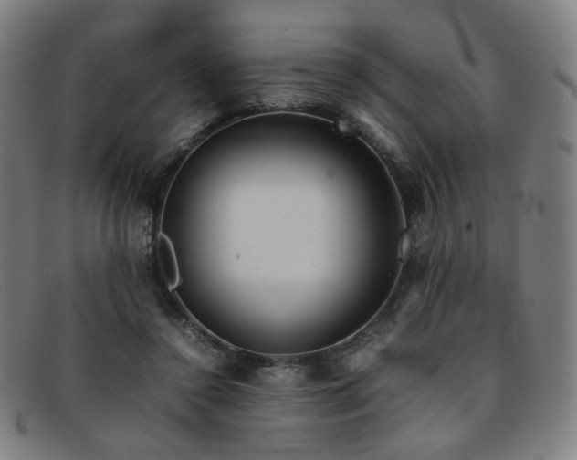 X0000092050356200709121217